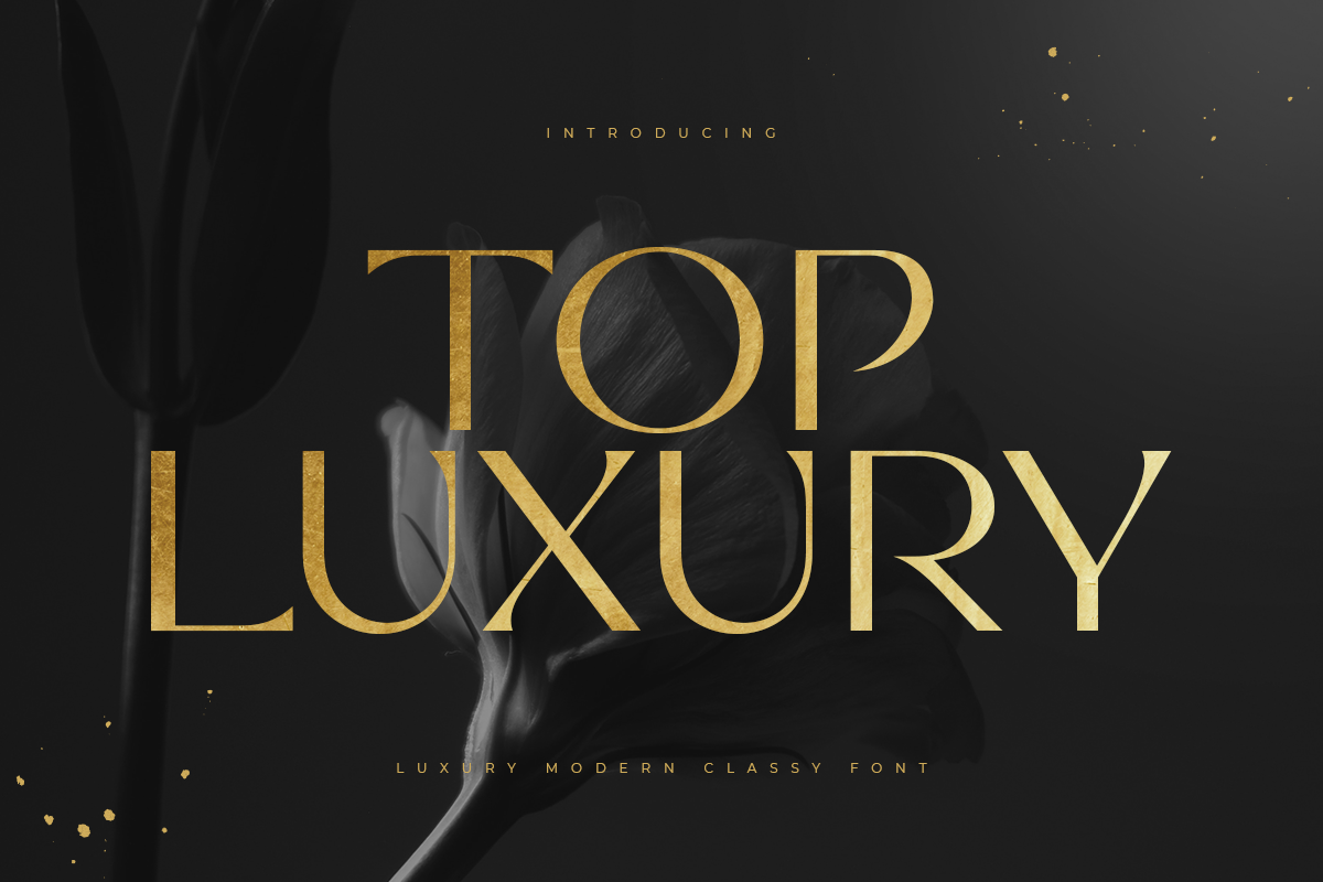 Top Luxury - Luxury Modern Classy Font 1.png