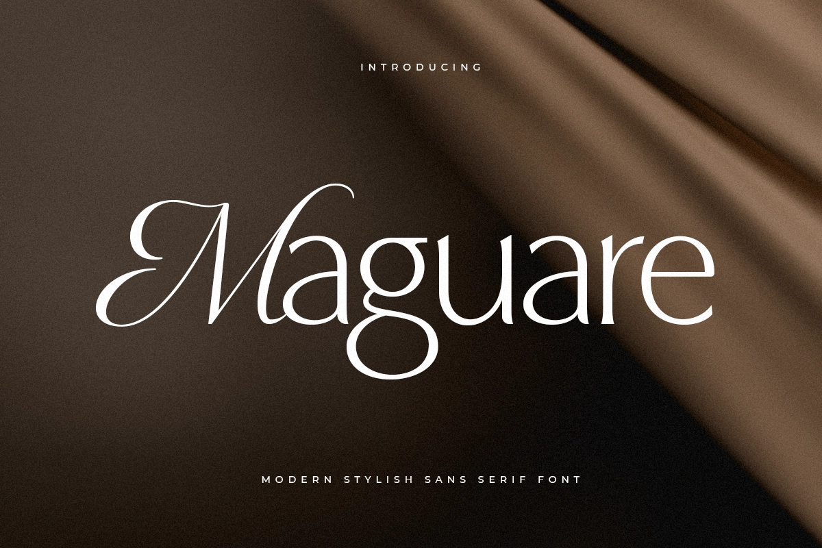 maguare_modern_stylish_serif_font_1_hckTb3LkKQ.webp