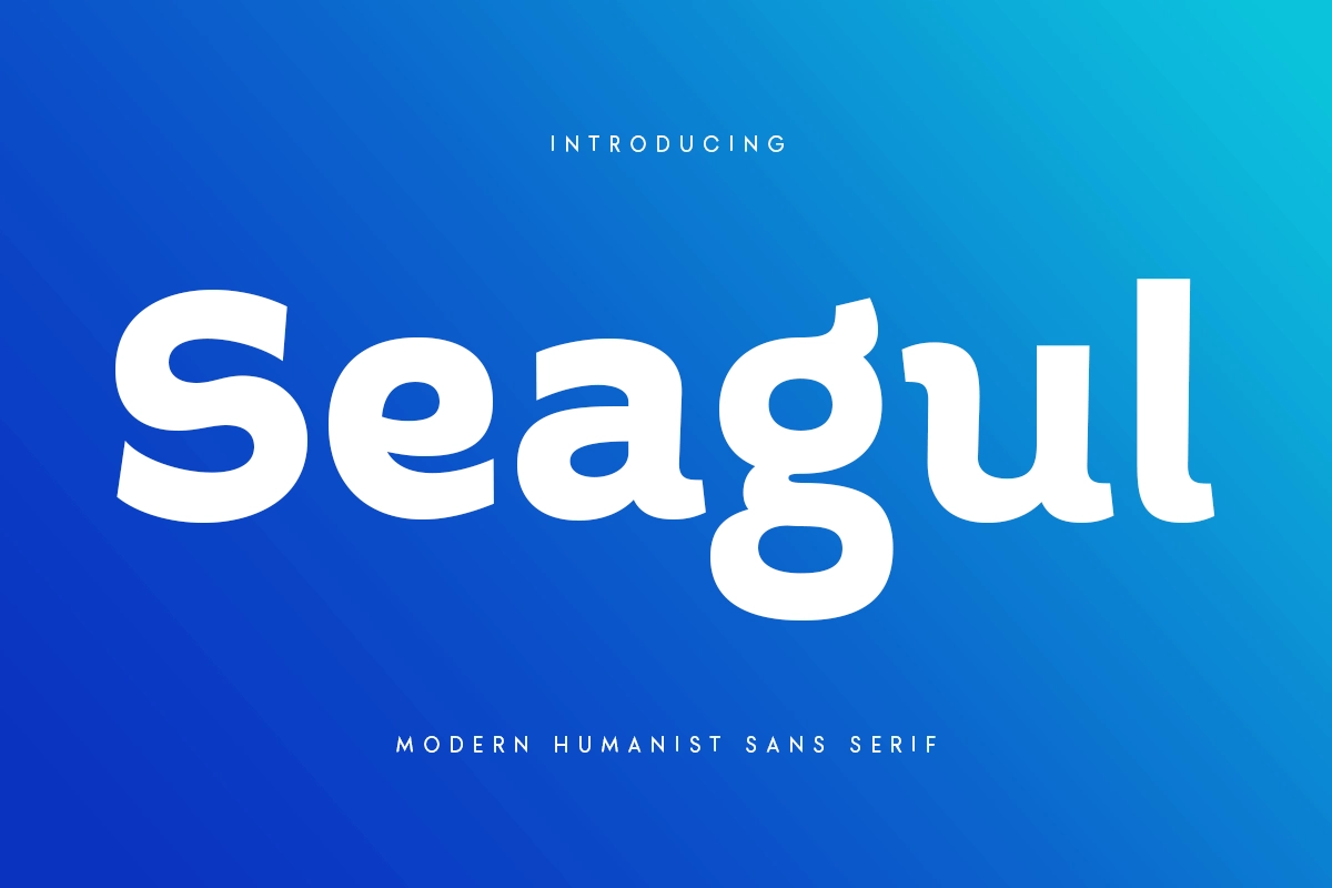 seagul_modern_humanist_sans_serif_16_4QCOqiQyjj.webp