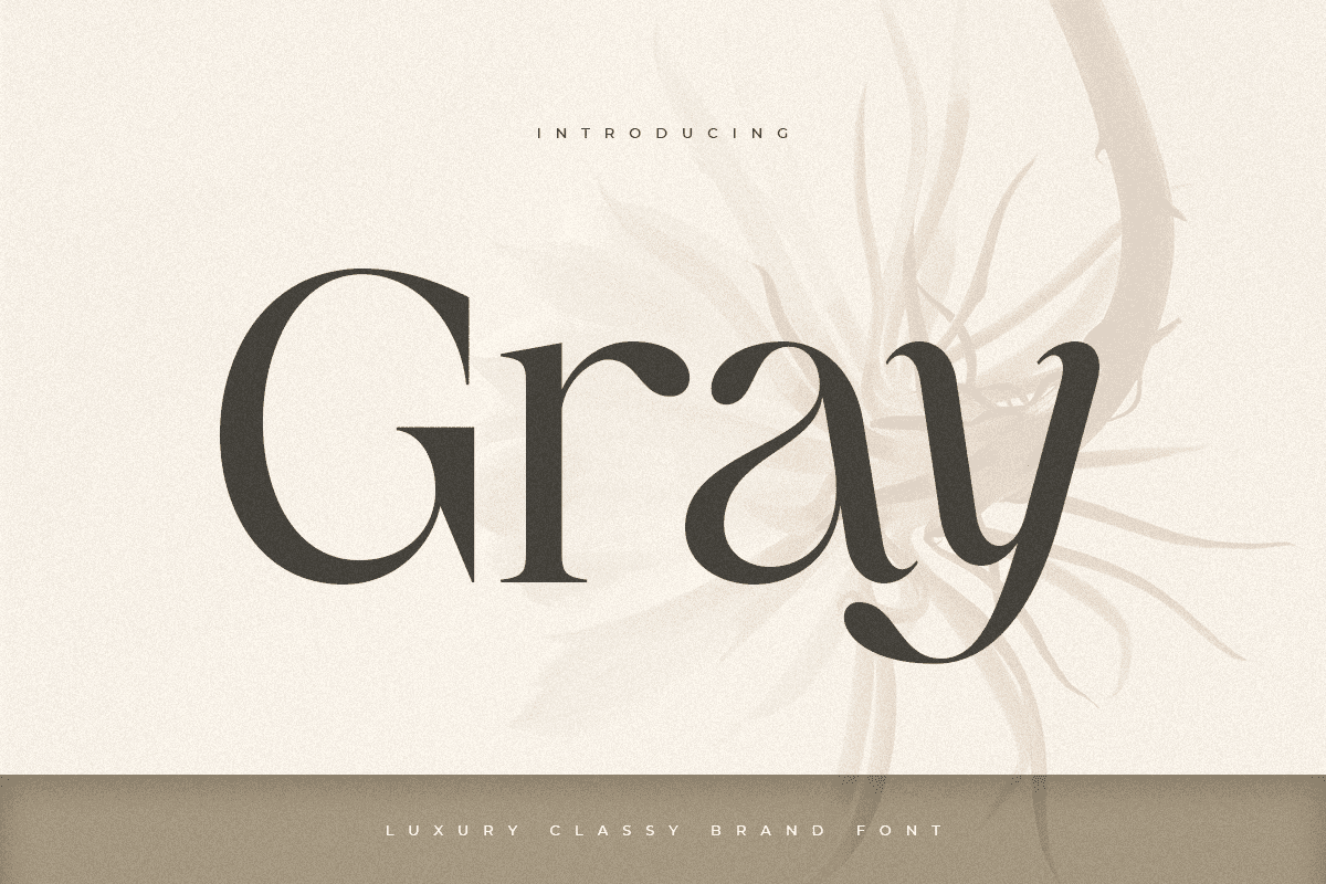 Gray - Luxury Classy Brand Font 1.png