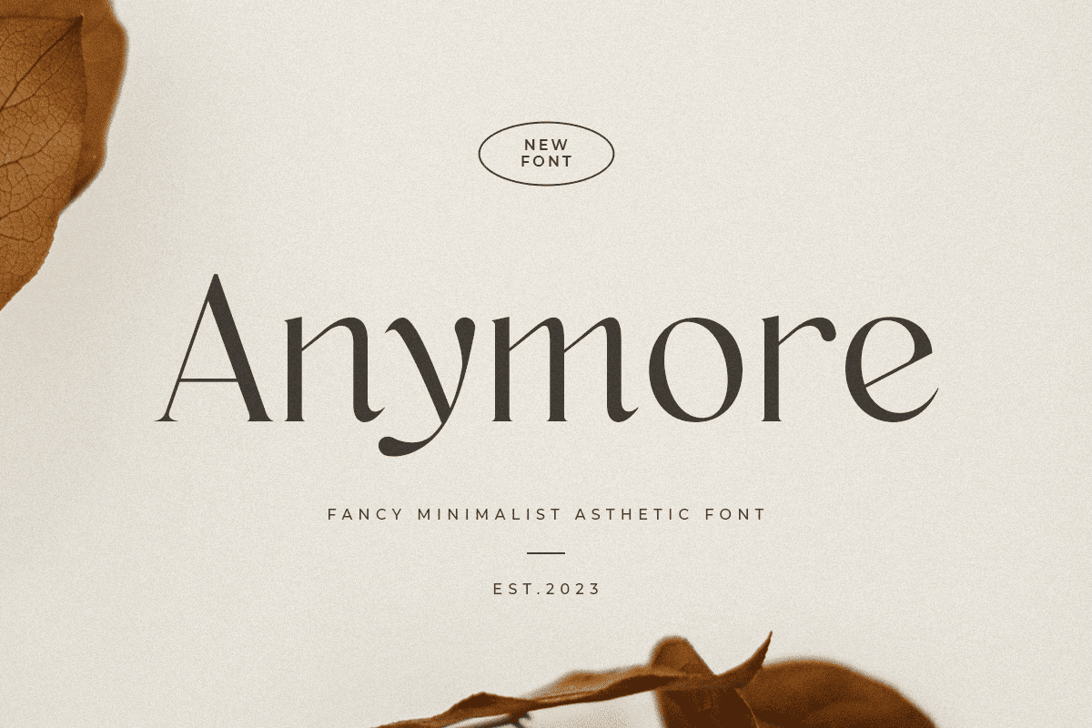 Anymore - Fancy Minimalist Aesthetic Font 1.png