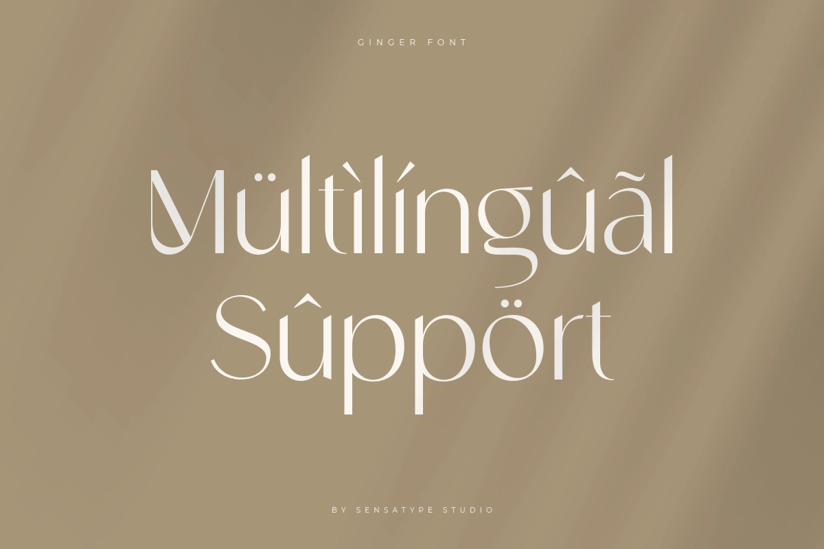 Multilingual Support (Ginger).webp
