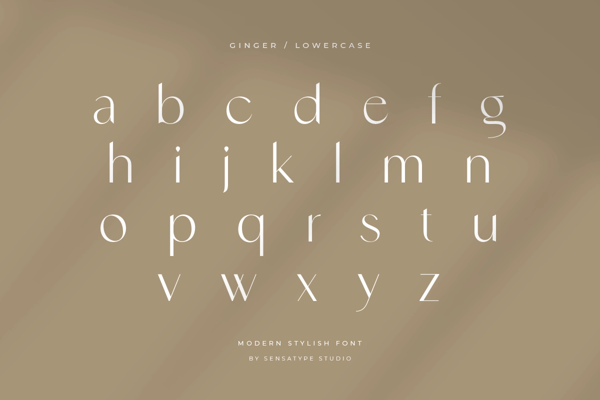 lowercase (Ginger).webp