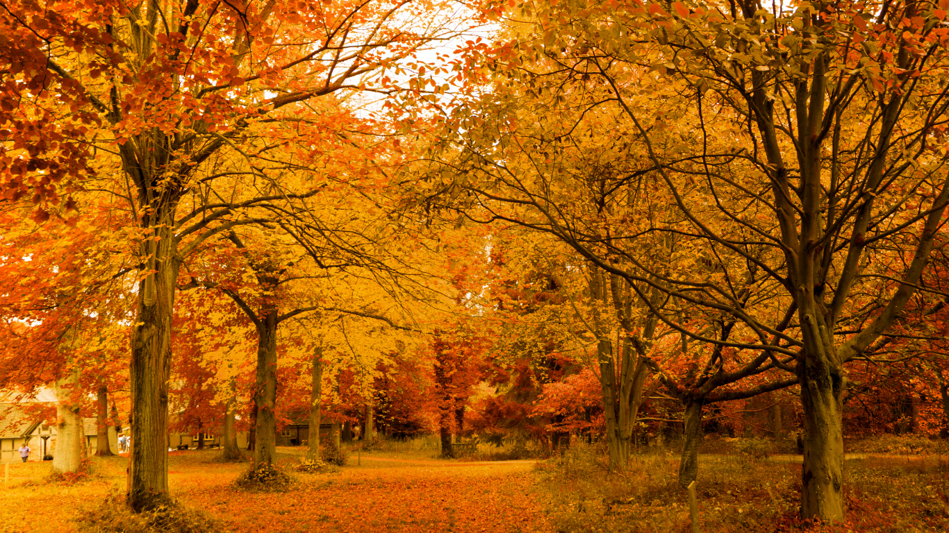 Autumn.png