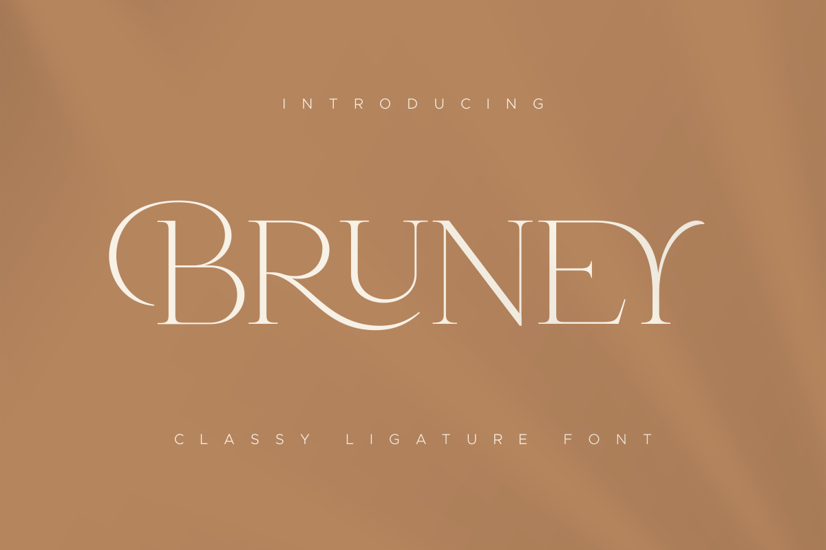 Bruney Classy Ligature Font 1.png