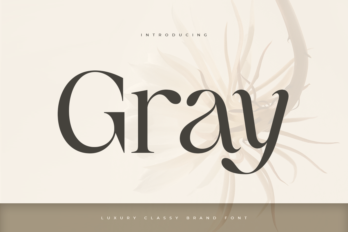Gray - Luxury Classy Brand Font 1.png