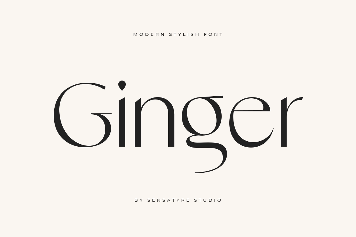 Ginger - Modern Stylish Font.webp